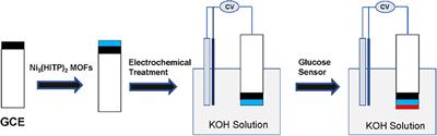 Electrochemically Activated Conductive Ni-Based MOFs for Non-enzymatic Sensors Toward Long-Term Glucose Monitoring